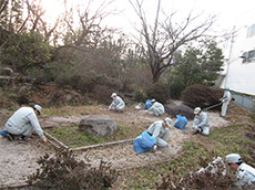 Weed removal in Masuda Park